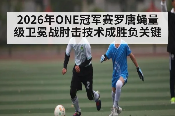 2026年ONE冠军赛罗唐蝇量级卫冕战肘击技术成胜负关键